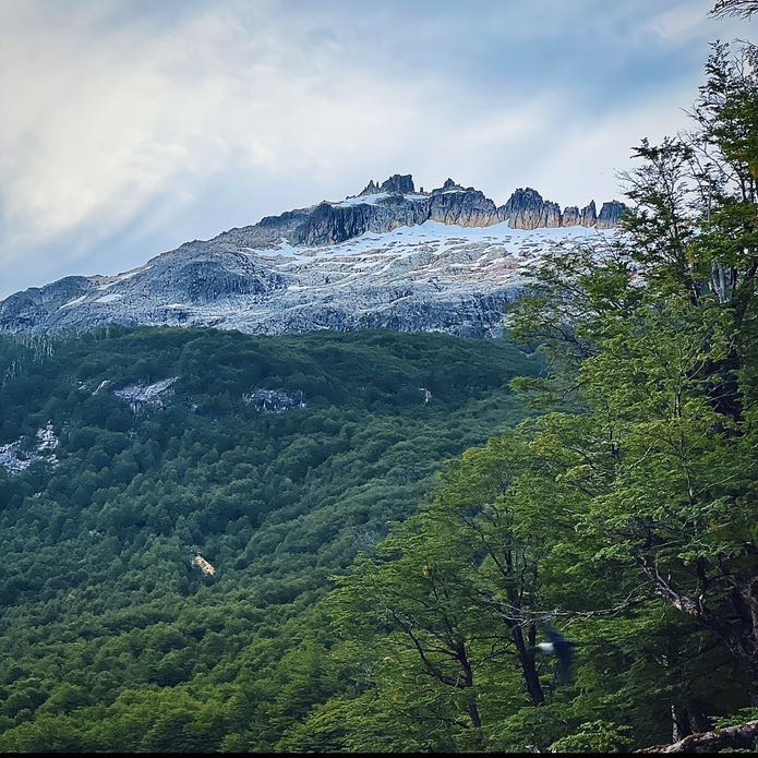 Portada de Irse se trata de volver de IXI